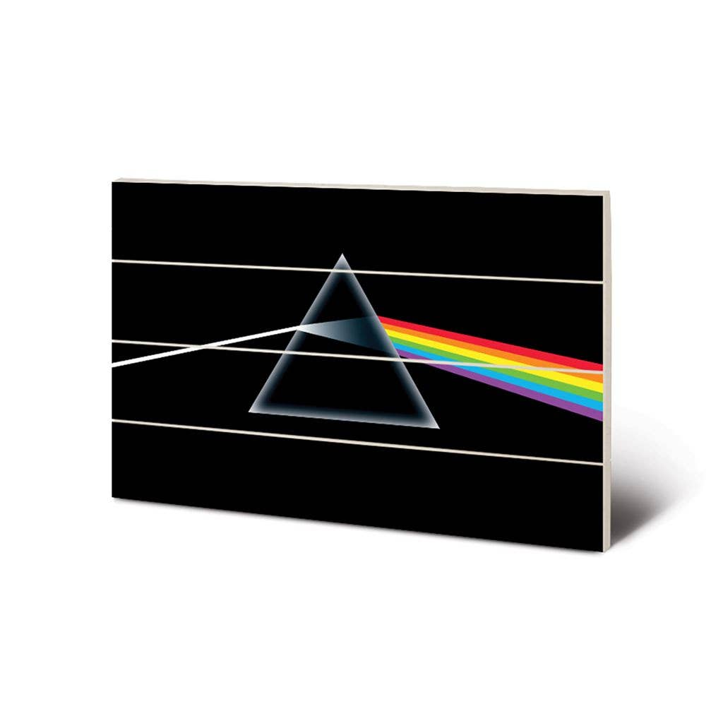 Pink Floyd (Dark Side of the Moon) 40 x 59cm canvas print