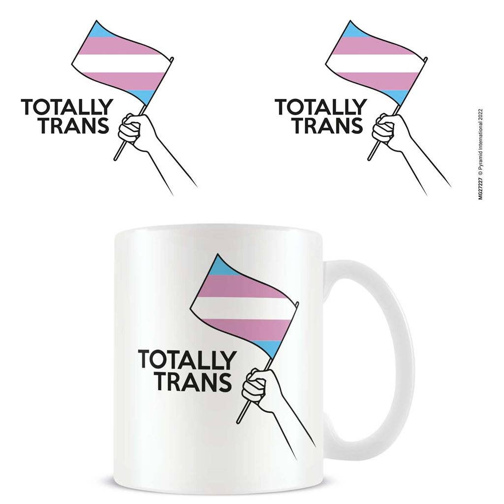 Pride (Transgender) 11oz/315ml boxed mug