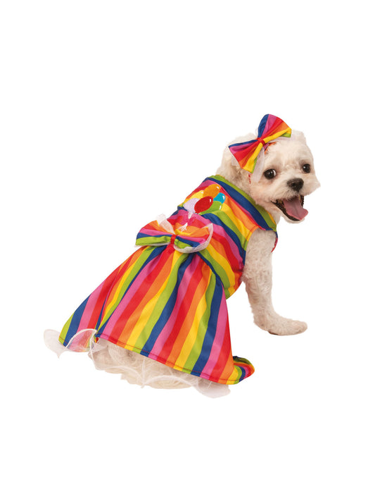 PRIDE! Dog Costume