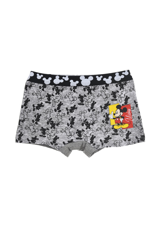 Boys Disney Mickey Mouse Boxer Shorts Organic Cotton