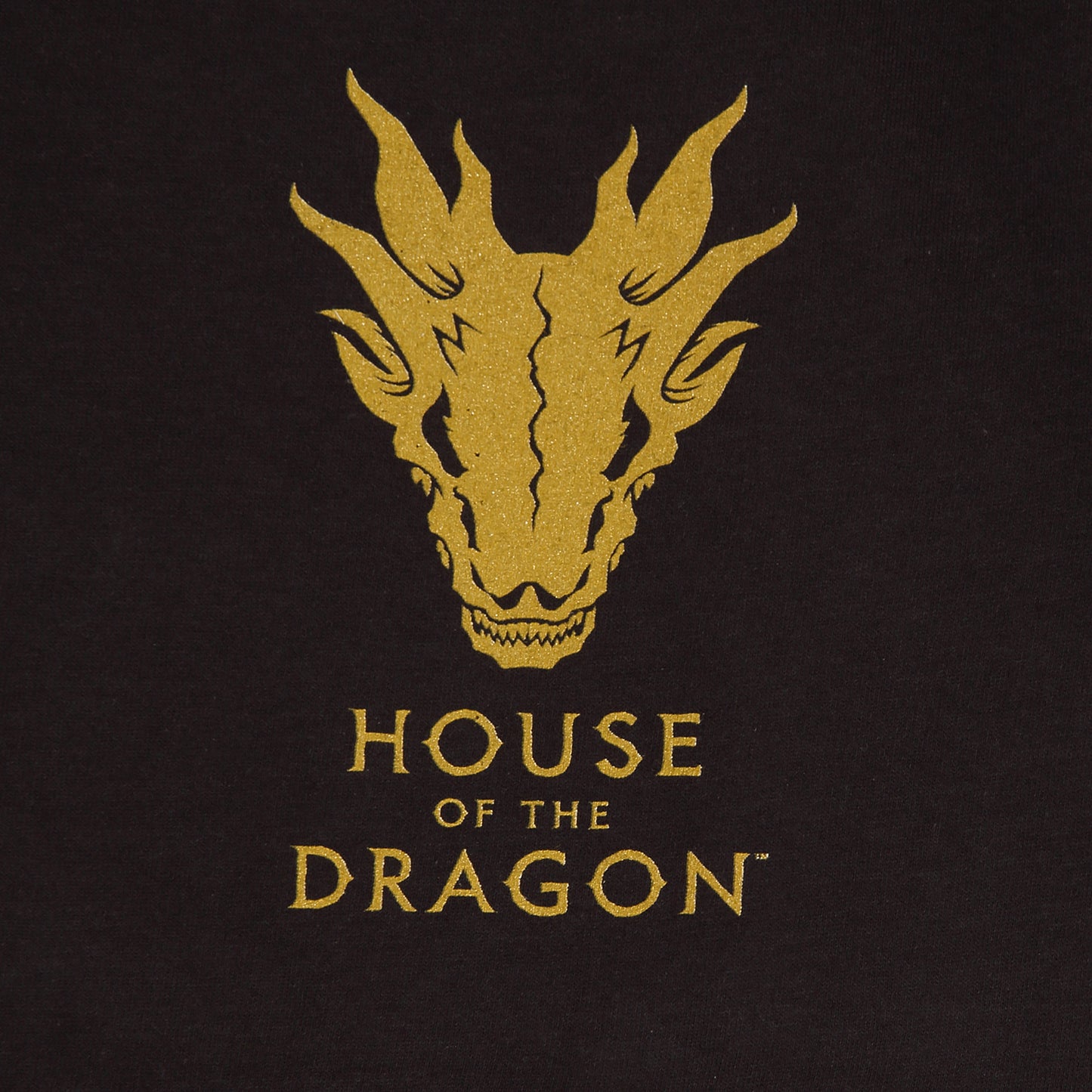 House of the Dragon Adult T Shirt