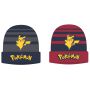 Pokemon Beanie hat