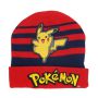 Pokemon Beanie hat