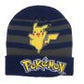 Pokemon Beanie hat