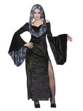 Spirited Lady Adult Costume