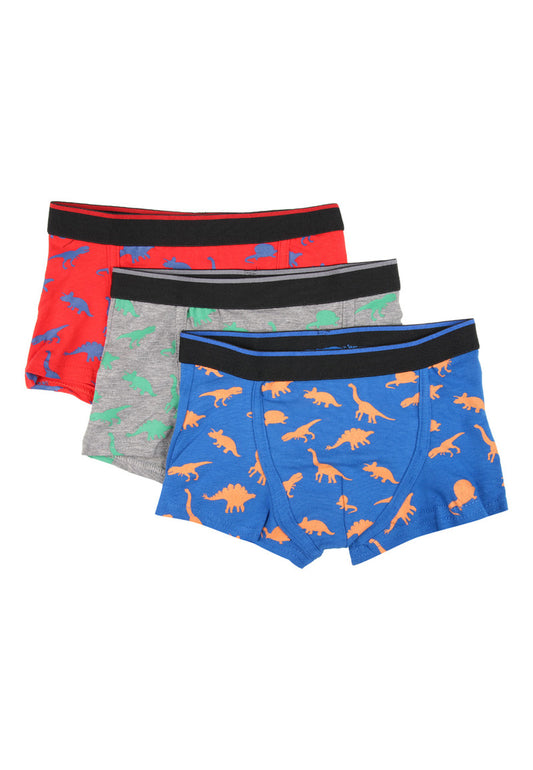 Kids Dinosaur Boxers by Tom Franks