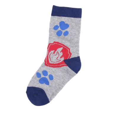 Boys Paw Patrol socks, pack of 5