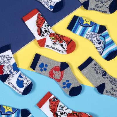 Boys Paw Patrol socks, pack of 5