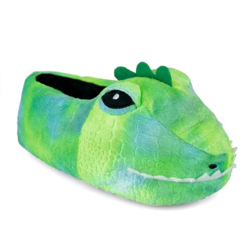 Dinosaur Slippers