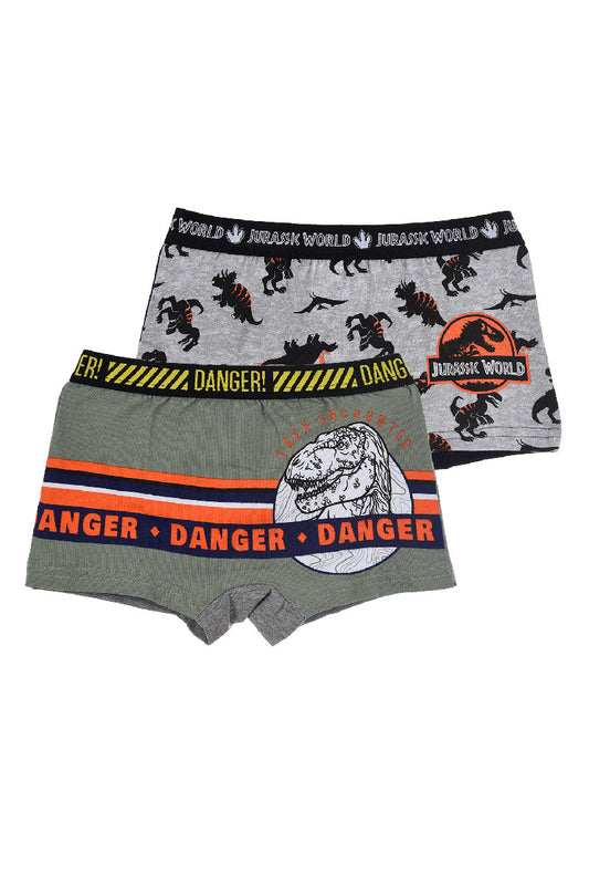 Jurassic World Organic Cotton Boys Boxer Shorts 2Pk Khaki