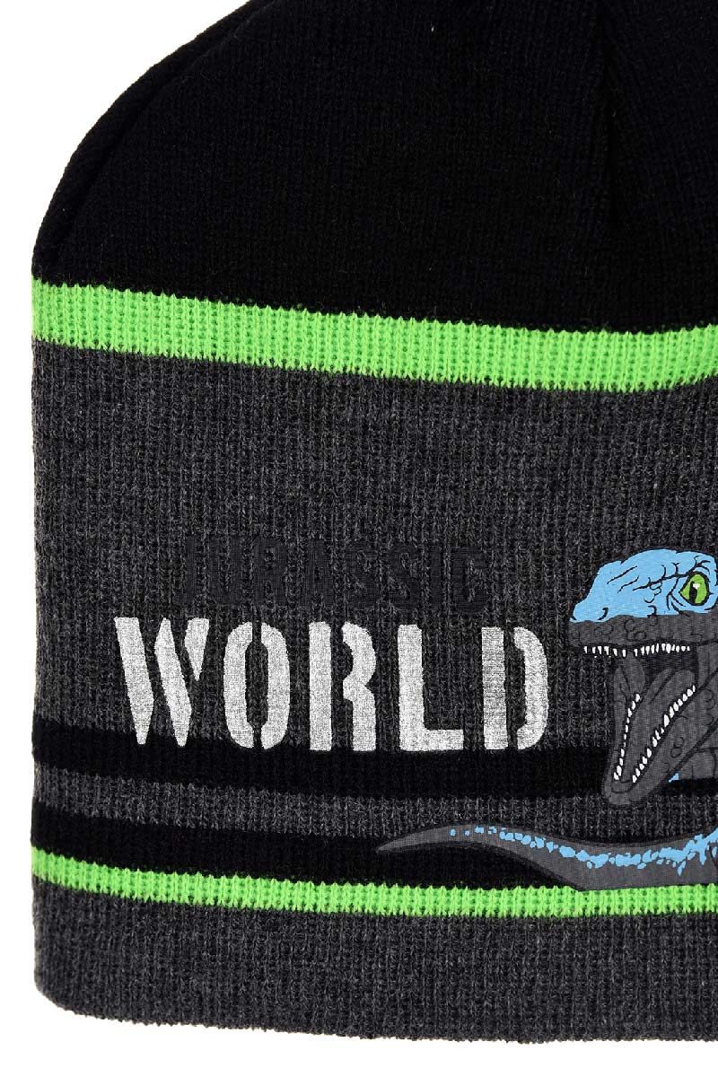 Jurassic World Beanie hat and gloves set