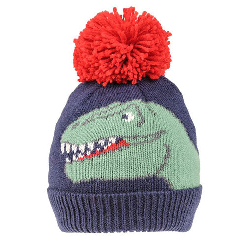 Boys Dinosaur Bobble Hat