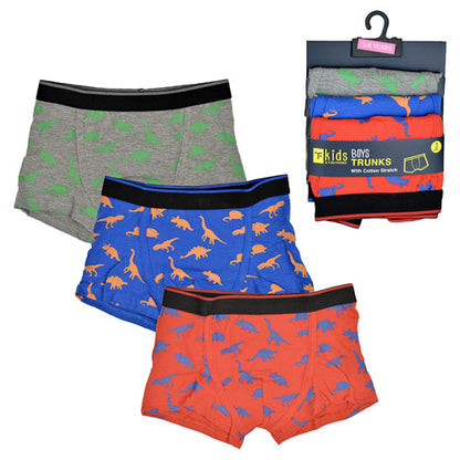 Kids Dinosaur Boxers by Tom Franks